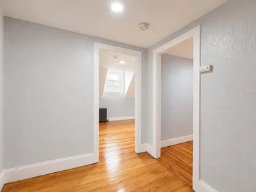 Gesamte Unterkunft im Wohnheim in der 12, Homestead, Unit 3, Roxbury, Boston, MA, 02121, bild 2 von 18