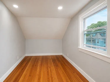 Gesamte Unterkunft im Wohnheim in der 12, Homestead, Unit 3, Roxbury, Boston, MA, 02121, bild 13 von 18