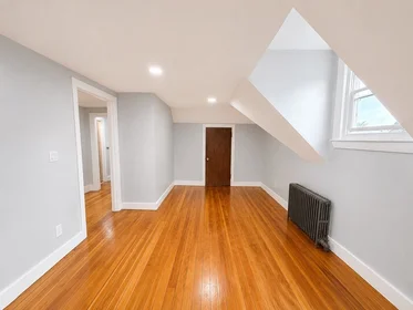 Gesamte Unterkunft im Wohnheim in der 12, Homestead, Unit 3, Roxbury, Boston, MA, 02121, bild 14 von 18