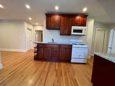 Apartamento inteiro em residência em 90, Lyndhurst St., Unit 5, Dorchester, Boston, MA, 02124, imagem 11 de 40