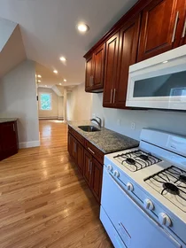 Apartamento inteiro em residência em 90, Lyndhurst St., Unit 5, Dorchester, Boston, MA, 02124, imagem 19 de 40