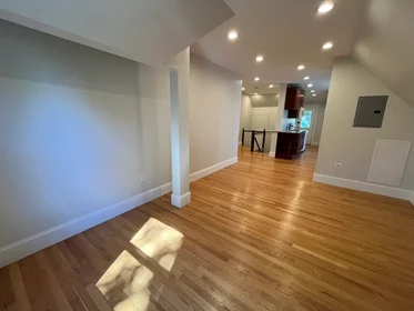 Apartamento inteiro em residência em 90, Lyndhurst St., Unit 5, Dorchester, Boston, MA, 02124, imagem 20 de 40