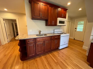 Apartamento inteiro em residência em 90, Lyndhurst St., Unit 5, Dorchester, Boston, MA, 02124, imagem 26 de 40