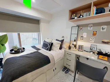 Quarto privado em Lancaster Street, imagem 1 de 10