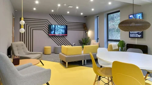 Chambre privée à Ainsley Street, image 12 de 13