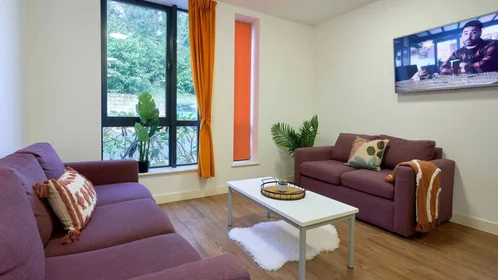 Chambre privée à Ainsley Street, image 13 de 13
