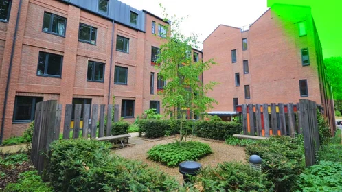 Chambre privée à Ainsley Street, image 7 de 13