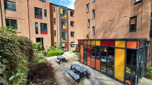 Chambre privée à Ainsley Street, image 8 de 13
