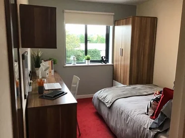 Habitación privada en residencia en Behn Hall, Parham Rd, Canterbury CT1 1YN, United Kingdom, imagen 18 de 29