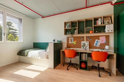 Privatzimmer im Wohnheim in der Via Rimesse, bild 2 von 43