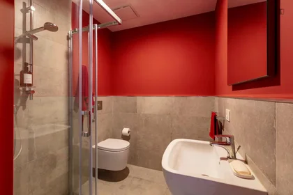 Privatzimmer im Wohnheim in der Via Rimesse, bild 17 von 43