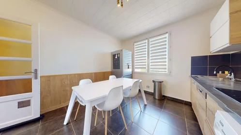 Chambre privée à 404 Cr Émile-Zola, 69100 Villeurbanne, France, image 6 de 14