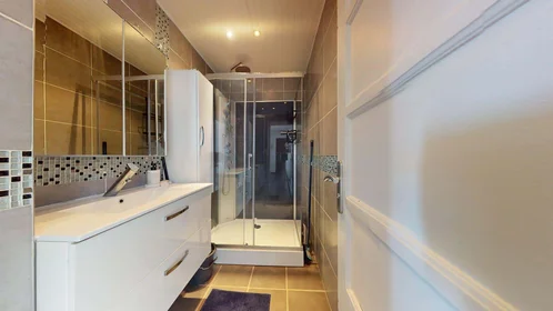 Chambre privée à 404 Cr Émile-Zola, 69100 Villeurbanne, France, image 10 de 14