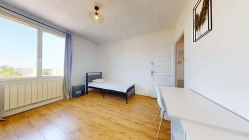 Chambre privée à 404 Cr Émile-Zola, 69100 Villeurbanne, France, image 4 de 14