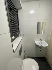 Apartamento inteiro em Rooseveltlaan, imagem 5 de 10