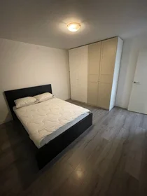 Apartamento inteiro em Rooseveltlaan, imagem 6 de 10