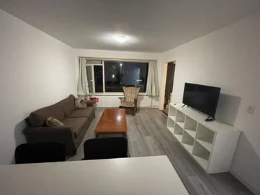 Apartamento inteiro em Rooseveltlaan, imagem 8 de 10