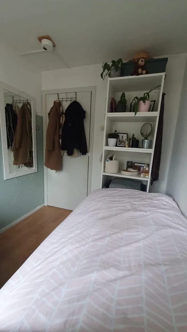 Budget-friendly student room close to campus in 
