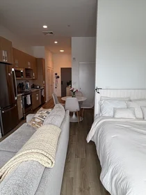 Studio im Wohnheim in der 301, Guest St., Unit 304, Allston, Boston, MA, 02134, bild 11 von 17