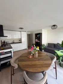 Całe miejsce Tollensstraat, Amsterdam-West, obraz 1 10