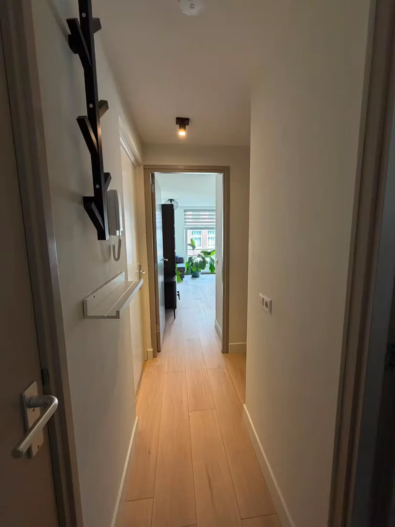 Tollensstraat, Amsterdam-West