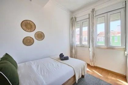 Stanza privata in Alameda - R. João de Menezes, 3º D, immagine 36 di 42