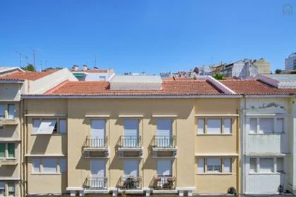 Stanza privata in Alameda - R. João de Menezes, 3º D, immagine 42 di 42