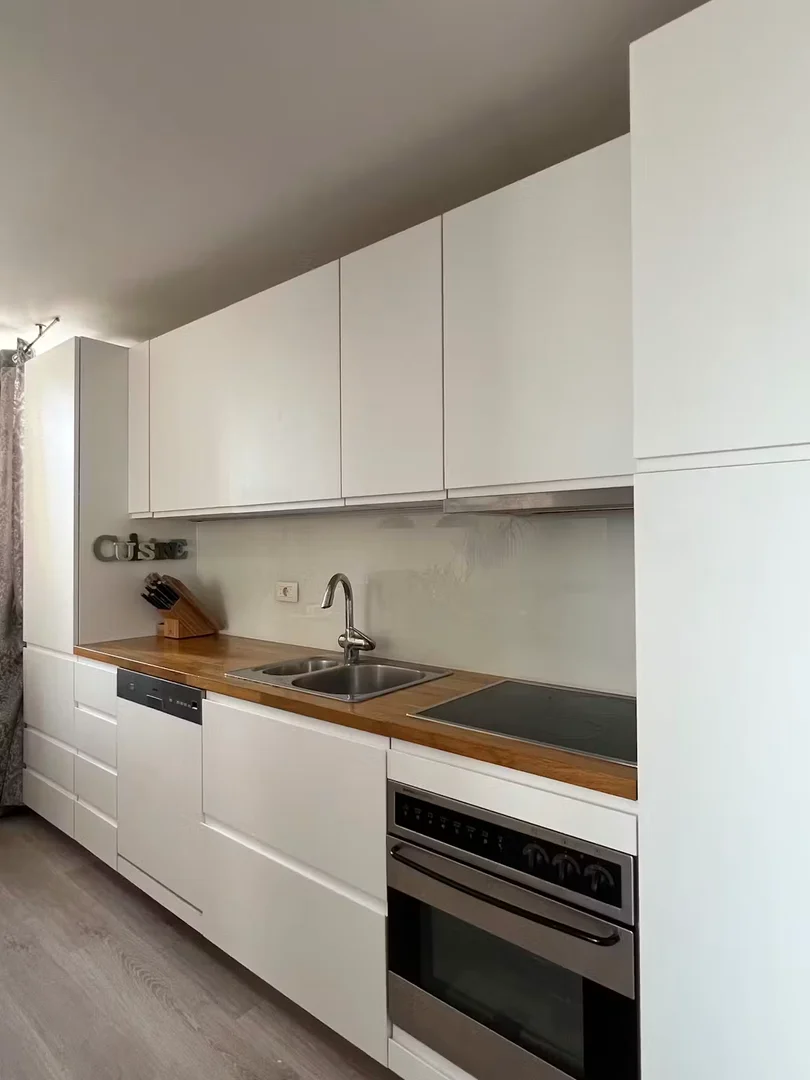 Janežičeva cesta, Prule