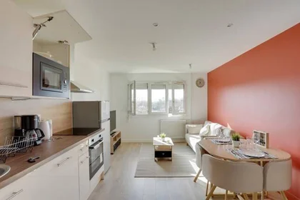 Privatzimmer in der Villeurbanne, 69100, bild 1 von 14