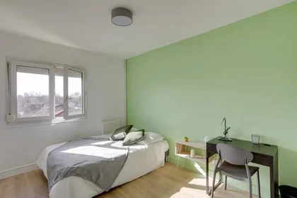 Privatzimmer in der Villeurbanne, 69100, bild 4 von 14