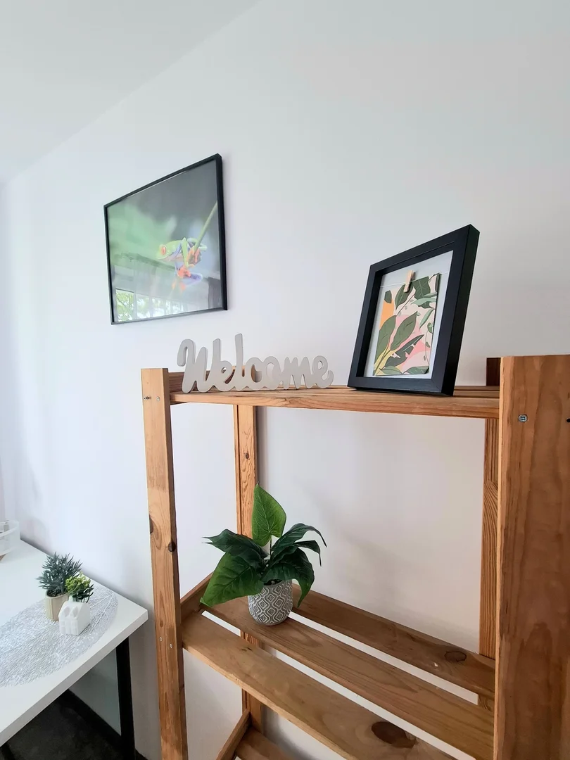 Affordable room for students with ample lighting in 