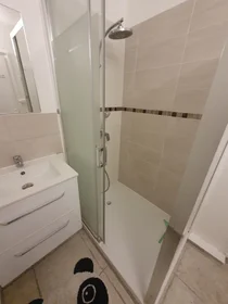 Stanza privata in Rue Richard Wagner, immagine 17 di 29