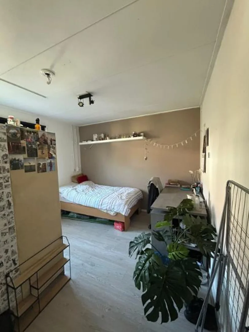 Habitación acogedora para estudiantes disponible en 