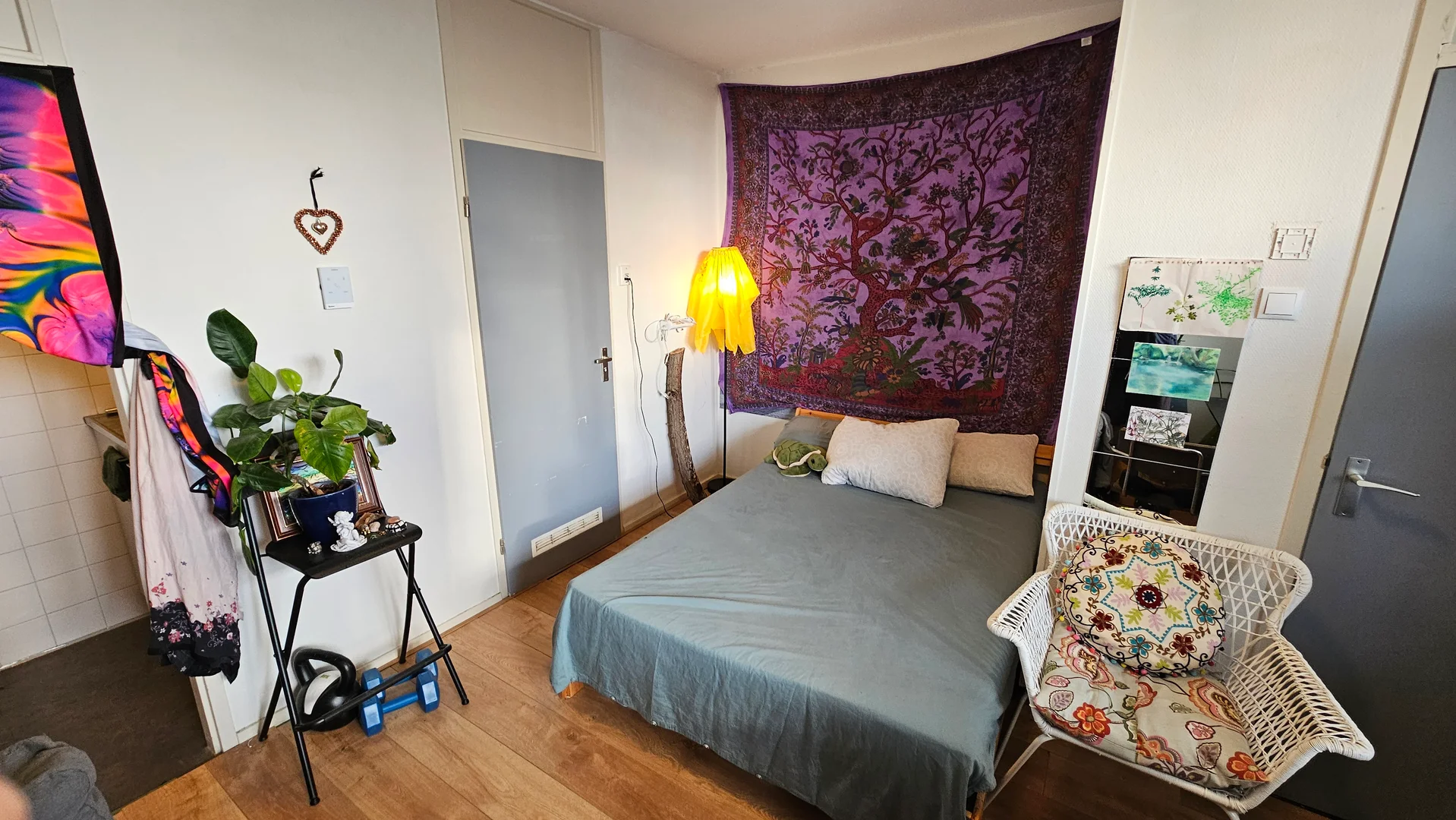 Modern student studio with complete amenities in 