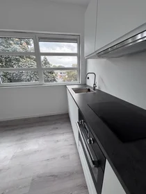 Özel oda konumu Goeman Borgesiusstraat, 5 6 görüntüsü
