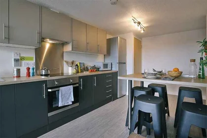 Apartamento inteiro em residência em 34 Edward St, Sheffield S3 7GB, United Kingdom, imagem 16 de 19