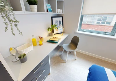 Apartamento inteiro em residência em 34 Edward St, Sheffield S3 7GB, United Kingdom, imagem 3 de 19