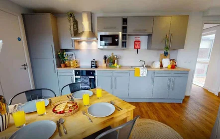 Chambre privée en résidence à Kings Manor Business Park, Newcastle upon Tyne NE1 6PA, United Kingdom , image 23 de 35