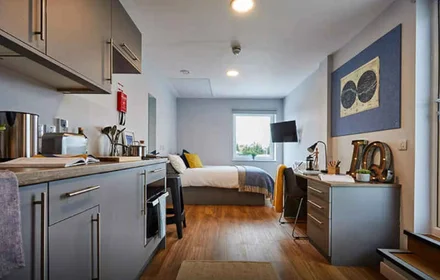 Chambre privée en résidence à Kings Manor Business Park, Newcastle upon Tyne NE1 6PA, United Kingdom , image 26 de 35