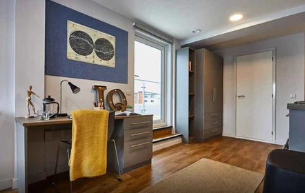 Chambre privée en résidence à Kings Manor Business Park, Newcastle upon Tyne NE1 6PA, United Kingdom , image 27 de 35