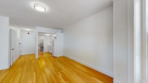 Studio en résidence à 513, Beacon, Unit 3, Back Bay, Boston, MA, 02115, image 14 de 14