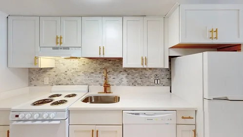 Studio en résidence à 513, Beacon, Unit 3, Back Bay, Boston, MA, 02115, image 6 de 14