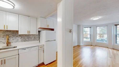 Studio en résidence à 513, Beacon, Unit 3, Back Bay, Boston, MA, 02115, image 9 de 14
