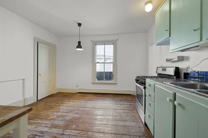 Całe miejsce w rezydencji 3, Pleasant Pl., Unit 3, Cambridgeport, Cambridge, MA, 02139, obraz 1 15