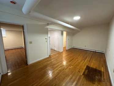 Całe miejsce w rezydencji 1, Craigie, Unit B2, Harvard Square, Cambridge, MA, 02138, obraz 16 17