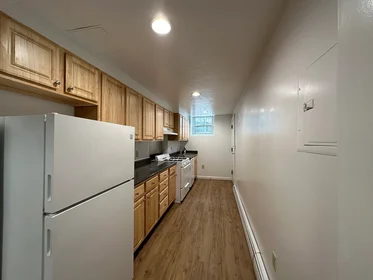 Całe miejsce w rezydencji 1, Craigie, Unit B2, Harvard Square, Cambridge, MA, 02138, obraz 17 17