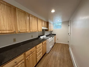 Całe miejsce w rezydencji 1, Craigie, Unit B2, Harvard Square, Cambridge, MA, 02138, obraz 5 17