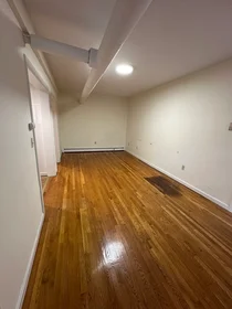 Całe miejsce w rezydencji 1, Craigie, Unit B2, Harvard Square, Cambridge, MA, 02138, obraz 6 17