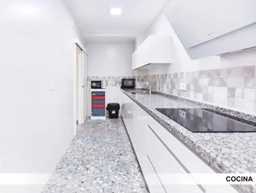 Prywatny pokój Plaza Aljarafe 8, obraz 13 25