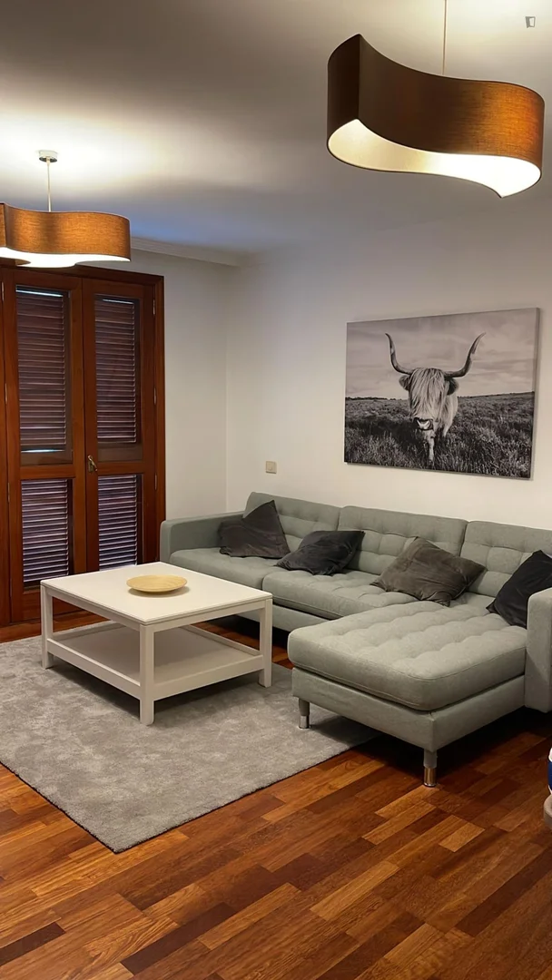 Cozy room for students available in 